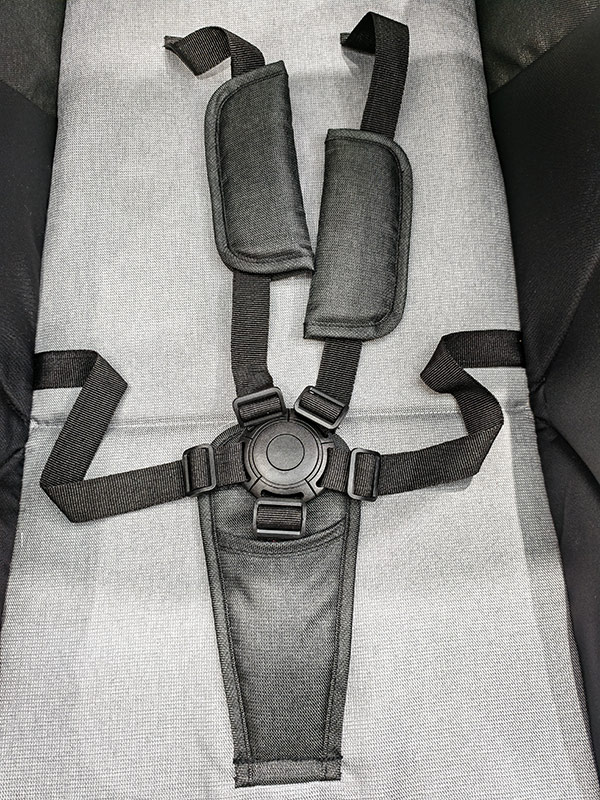five-point safety belt